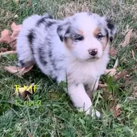 processed/643f1159-1bc8-43ab-bde9-dee440937fa8/facility/24161cd4-bad4-42e9-8fe1-09d6f0338bd7