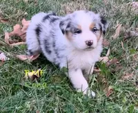 processed/643f1159-1bc8-43ab-bde9-dee440937fa8/facility/24161cd4-bad4-42e9-8fe1-09d6f0338bd7