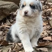 processed/643f1159-1bc8-43ab-bde9-dee440937fa8/facility/57a74ab6-d7ae-442e-81a7-0f2b0adc9027