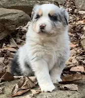 processed/643f1159-1bc8-43ab-bde9-dee440937fa8/facility/57a74ab6-d7ae-442e-81a7-0f2b0adc9027