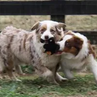 processed/643f1159-1bc8-43ab-bde9-dee440937fa8/facility/5b14eead-dfed-43e5-85f4-2758c1dae512