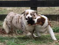 processed/643f1159-1bc8-43ab-bde9-dee440937fa8/facility/5b14eead-dfed-43e5-85f4-2758c1dae512