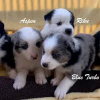 processed/643f1159-1bc8-43ab-bde9-dee440937fa8/facility/99f6366d-b667-4e05-9999-b252be368950