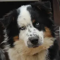 processed/643f1159-1bc8-43ab-bde9-dee440937fa8/facility/bde842e2-a54c-4c8a-b0a3-41d5b8798146