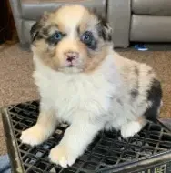 processed/643f1159-1bc8-43ab-bde9-dee440937fa8/facility/be41abd4-8e3d-4283-bcff-77c5da3d2124