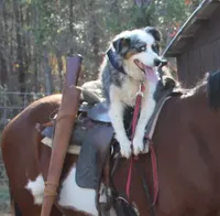 processed/643f1159-1bc8-43ab-bde9-dee440937fa8/facility/c929ef95-4968-433a-b25f-2062ab419968