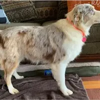 processed/643f1159-1bc8-43ab-bde9-dee440937fa8/facility/d3206e93-5e73-41e0-9d95-43450794846e