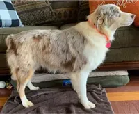 processed/643f1159-1bc8-43ab-bde9-dee440937fa8/facility/d3206e93-5e73-41e0-9d95-43450794846e