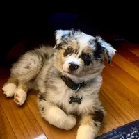 processed/643f1159-1bc8-43ab-bde9-dee440937fa8/facility/f1ac6b60-164d-4196-b323-5898313692b5