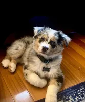 processed/643f1159-1bc8-43ab-bde9-dee440937fa8/facility/f1ac6b60-164d-4196-b323-5898313692b5