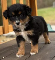 processed/643f1159-1bc8-43ab-bde9-dee440937fa8/listing/bfff9550-616c-4bc4-8713-011a9195b378/167c145f-6a5f-4833-a74e-1ad0ecd3f13a