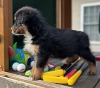 processed/643f1159-1bc8-43ab-bde9-dee440937fa8/listing/bfff9550-616c-4bc4-8713-011a9195b378/3bcb883f-787a-4620-8127-02ffe3f22813