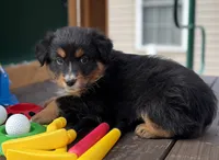 processed/643f1159-1bc8-43ab-bde9-dee440937fa8/listing/bfff9550-616c-4bc4-8713-011a9195b378/410255e2-89e5-45b7-bfdc-8eda8cd86720