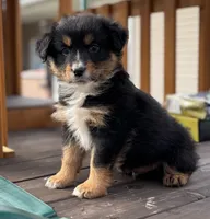 processed/643f1159-1bc8-43ab-bde9-dee440937fa8/listing/bfff9550-616c-4bc4-8713-011a9195b378/b5c3ffdb-09ed-4b6d-b1c3-aeda1b5ce8fb