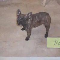 processed/64415814-5302-40e8-803c-a83dede9b3bf/facility/05bde71f-43d3-4363-8408-b7d686f9db23