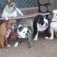 processed/64415814-5302-40e8-803c-a83dede9b3bf/facility/0782f174-198e-4a25-ba3d-c091394b91ea