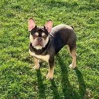 processed/64415814-5302-40e8-803c-a83dede9b3bf/facility/5e539641-56d8-4b4d-933d-487492693c9b