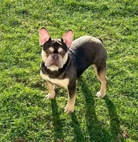 processed/64415814-5302-40e8-803c-a83dede9b3bf/facility/5e539641-56d8-4b4d-933d-487492693c9b