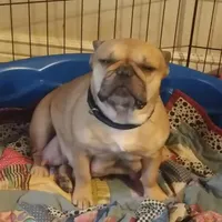 processed/64415814-5302-40e8-803c-a83dede9b3bf/facility/9600f102-5b83-4d20-95a2-b24804ca5b9f