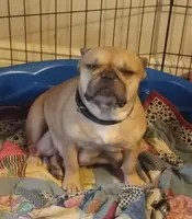 processed/64415814-5302-40e8-803c-a83dede9b3bf/facility/9600f102-5b83-4d20-95a2-b24804ca5b9f