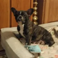 processed/64415814-5302-40e8-803c-a83dede9b3bf/facility/acd08e05-7056-4da3-a146-07b135b5faaf