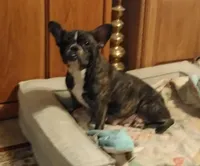 processed/64415814-5302-40e8-803c-a83dede9b3bf/facility/acd08e05-7056-4da3-a146-07b135b5faaf