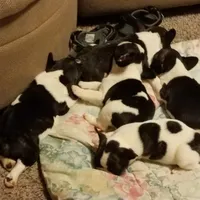 processed/64415814-5302-40e8-803c-a83dede9b3bf/facility/b41b86ad-9355-46d1-a6c0-70edf28b6113