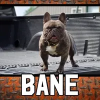 processed/64415814-5302-40e8-803c-a83dede9b3bf/facility/c45b8e40-51e7-405f-ac60-a2a9b310ffc1