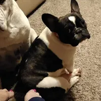 processed/64415814-5302-40e8-803c-a83dede9b3bf/facility/e5f00ada-3bfb-4d23-9834-45706dea7c9b