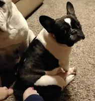 processed/64415814-5302-40e8-803c-a83dede9b3bf/facility/e5f00ada-3bfb-4d23-9834-45706dea7c9b