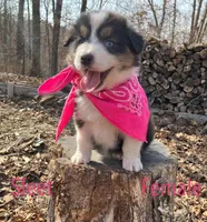 processed/645408df-e0f4-443a-9447-afc0e7e88a68/listing/21d0d06f-9cc0-45f1-9419-d4263214ed9d/f1b8b9cc-3b01-41e9-8afe-882108b26759