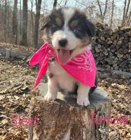 processed/645408df-e0f4-443a-9447-afc0e7e88a68/listing/21d0d06f-9cc0-45f1-9419-d4263214ed9d/f893ad78-e41f-4d2f-91e2-5815d3a67546