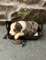 processed/645408df-e0f4-443a-9447-afc0e7e88a68/listing/23ca0af5-4bb6-4979-a561-d7280e4d3e00/4287ad53-c732-42eb-883f-731920406f70