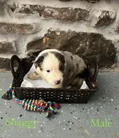 processed/645408df-e0f4-443a-9447-afc0e7e88a68/listing/23ca0af5-4bb6-4979-a561-d7280e4d3e00/490381d0-64b4-4628-b65c-0a76ed0695c5