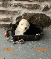 processed/645408df-e0f4-443a-9447-afc0e7e88a68/listing/675c1350-f0ec-4ae3-a411-71c8808b1491/03e650bd-180f-4378-8230-64a686c788a4