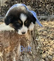 processed/645408df-e0f4-443a-9447-afc0e7e88a68/listing/a16619e6-68e9-48aa-b964-4792603a3d34/3cccd157-cda8-41be-9560-d105f2917df0