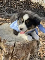 processed/645408df-e0f4-443a-9447-afc0e7e88a68/listing/a16619e6-68e9-48aa-b964-4792603a3d34/7a880487-e506-4e43-9d0f-cc6a4bee123c