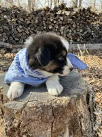 processed/645408df-e0f4-443a-9447-afc0e7e88a68/listing/a16619e6-68e9-48aa-b964-4792603a3d34/d9959281-a441-49aa-9d47-7f9667623c67