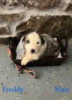 processed/645408df-e0f4-443a-9447-afc0e7e88a68/listing/d06c5299-f664-411c-8bfc-916628cfccd1/7296ac19-a0d2-4350-82b2-895fa2a3e04f