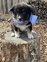 processed/645408df-e0f4-443a-9447-afc0e7e88a68/listing/de1fd2df-e84e-4474-be18-35b3cc3aff36/9852f50c-0e8a-4d7e-8105-7ff301b41dda