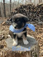 processed/645408df-e0f4-443a-9447-afc0e7e88a68/listing/de1fd2df-e84e-4474-be18-35b3cc3aff36/aa7d9ede-bc85-4aae-9e3f-fd91d1b49ab9