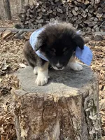 processed/645408df-e0f4-443a-9447-afc0e7e88a68/listing/de1fd2df-e84e-4474-be18-35b3cc3aff36/c28e9fa8-a551-4496-b076-6efd037cdf70