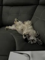 processed/645deece-5414-4f30-8723-e145ca26b8d0/facility/2ca30a89-a927-4f2f-be92-213dd8e6fe56