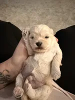 processed/645deece-5414-4f30-8723-e145ca26b8d0/facility/6246d27c-156a-4626-9986-e7b47736266c