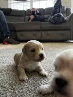 processed/645deece-5414-4f30-8723-e145ca26b8d0/facility/680acf30-569b-4821-8f06-fd3214f31235