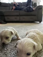 processed/645deece-5414-4f30-8723-e145ca26b8d0/facility/c1edddf6-2923-44a6-bfca-b72443c3174b