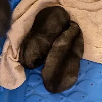 processed/646015e1-75a5-437a-9bb7-7692b6c8b69e/listing/024f6e86-ab83-4f6c-bd84-f9554f1515af/36357f7f-1737-4d7a-82ab-c970a4038172