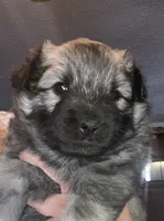 processed/646015e1-75a5-437a-9bb7-7692b6c8b69e/listing/024f6e86-ab83-4f6c-bd84-f9554f1515af/555d7a52-f8e3-44d8-a2b0-5c0c295d8503