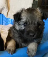 processed/646015e1-75a5-437a-9bb7-7692b6c8b69e/listing/024f6e86-ab83-4f6c-bd84-f9554f1515af/9ecb6f61-e95a-48f0-a386-b93a05ae8d6a