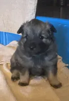 processed/646015e1-75a5-437a-9bb7-7692b6c8b69e/listing/024f6e86-ab83-4f6c-bd84-f9554f1515af/a2c9467e-ca1f-47f0-89d7-b25a79da015b